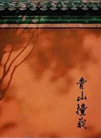 青山撞我姀锡番外全文免费阅读