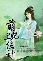 萌妃遇上皇上