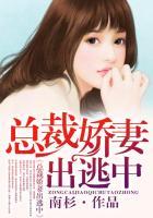总裁娇妻出逃中的