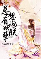 总有妖孽想泡朕 莫小贪