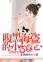 高调宠妻腹黑海盗的小甜心
