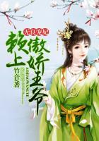 无良宠妃赖上傲娇王爷