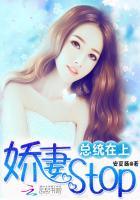 总统宠妻太高调免费阅读全文