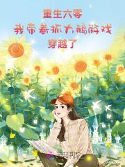 重生六零我带着抓大鹅游戏穿越了橘木半阳