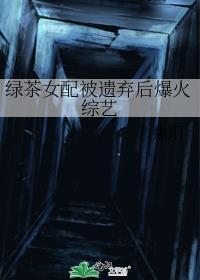 绿茶女配被遗弃后爆火综艺晋江