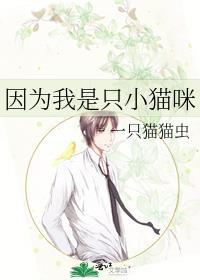 因为我是一只小猫咪