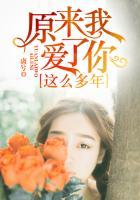 原来我爱了你这么多年是什么歌