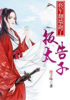 报告太子太子妃又跑路了