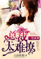 一错成婚总裁太难撩