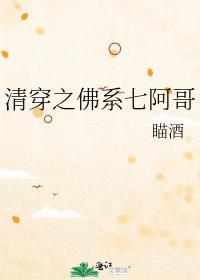 清穿之佛系七阿哥 好看吗