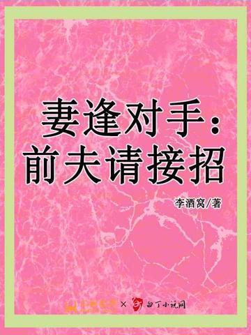 妻逢对手:前夫请接招