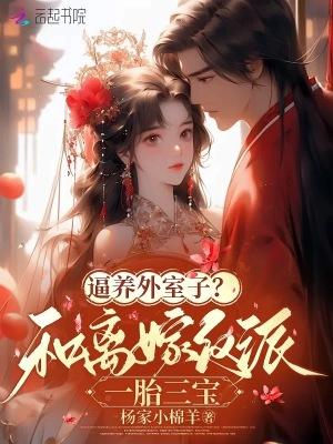 逼养外室子?和离嫁反派一胎三宝
