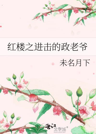 红楼之进击的政老爷