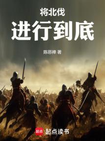 灭金伐宋,将北伐进行到底