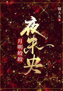 月明皎皎夜未央