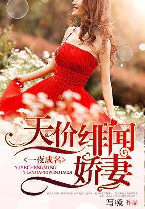 一夜成名:天价绯闻娇妻