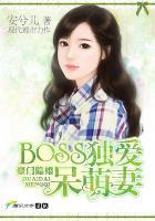 豪门隐婚:BOSS独爱呆萌妻