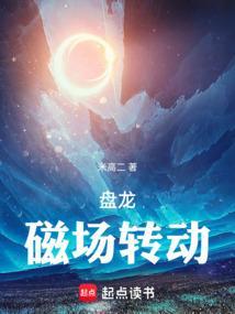 盘龙，磁场转动