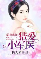 追妻成狂,猎爱小军医