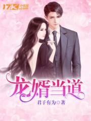 龙婿当道