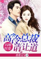 闪婚厚爱：高冷总裁请让道
