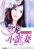 惹爱成瘾:霸宠小蛮妻