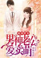 秘制婚宠:男神老公爱卖萌