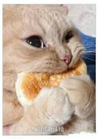 被他抓住后狂艹(1V1糙汉)