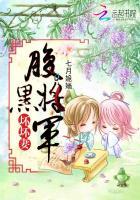 贵夫临门：腹黑将军坏坏妻