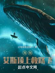 海贼:全团将皇级