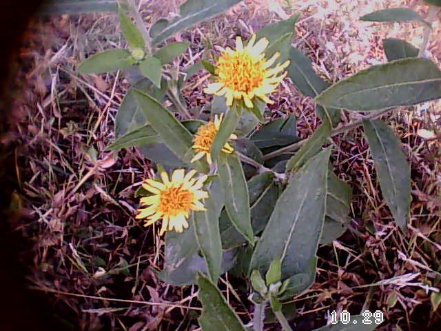 35岁前要上的33堂理财课