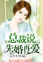 总裁说,先婚再爱